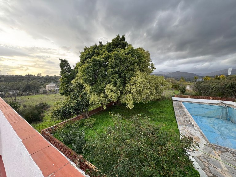 Villa for Sale in Cancelada, Malaga 16