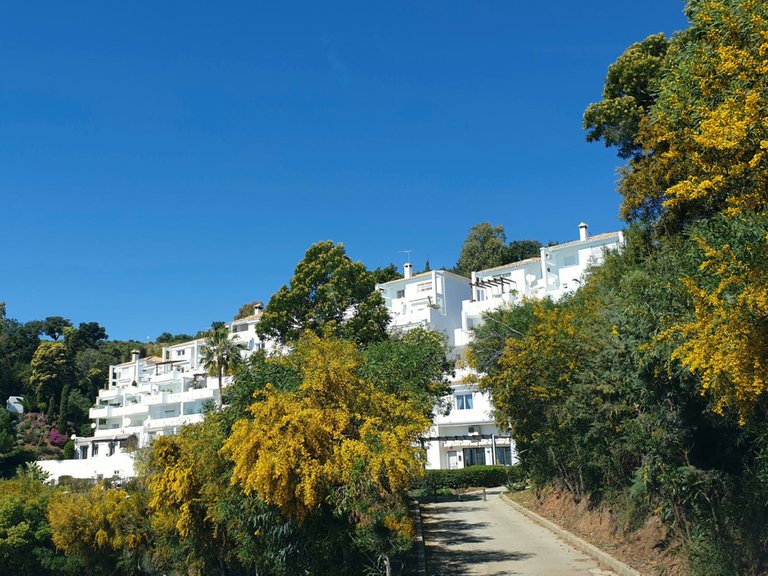Apartment for Sale in La Mairena, Malaga 41