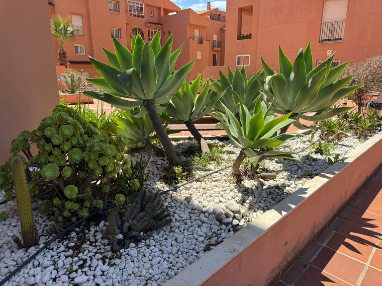 Apartment for Sale in Manilva, Malaga 12