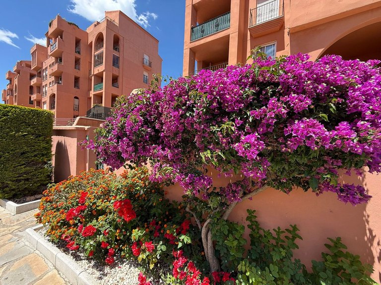 Apartment for Sale in Manilva, Malaga 4