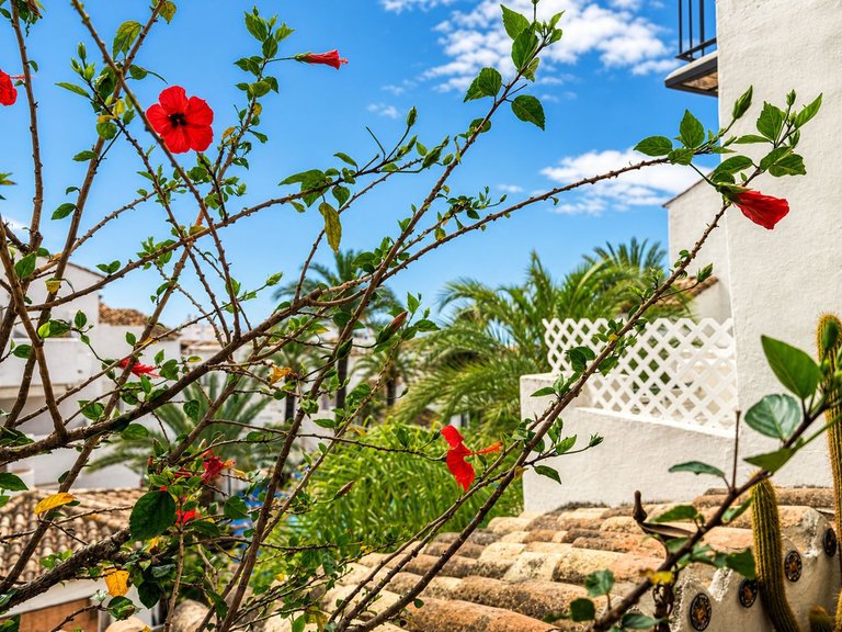 Apartment for Sale in La Duquesa, Malaga 25