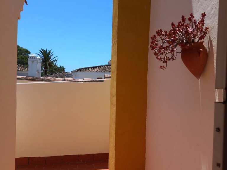 Villa for Sale in Estepona, Malaga 20