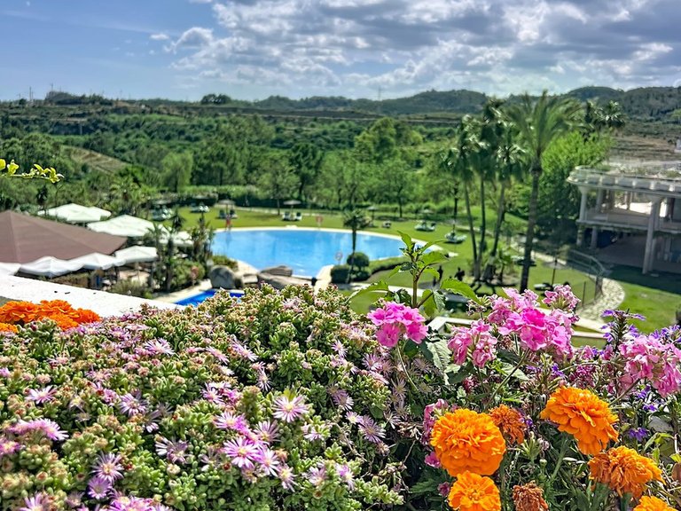 Apartment for Sale in Selwo, Malaga 2