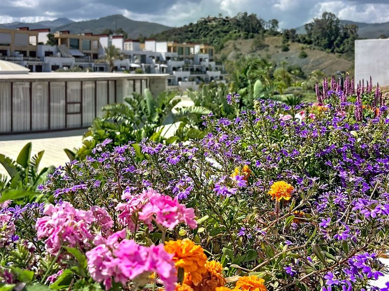 Apartment for Sale in Selwo, Malaga 26
