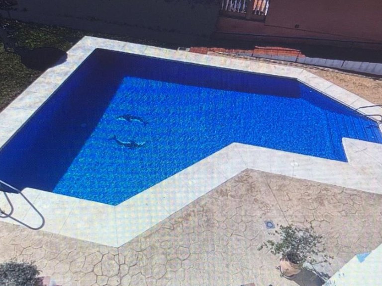 Apartment for Sale in Mijas, Malaga 12