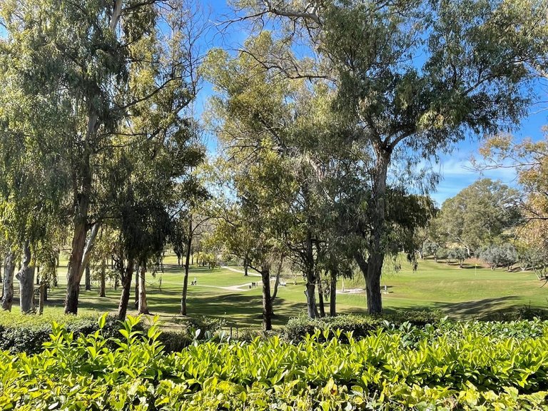 Apartment for Sale in Estepona, Malaga 11