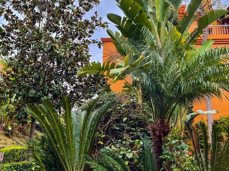 Apartment for Sale in Estepona, Malaga 27
