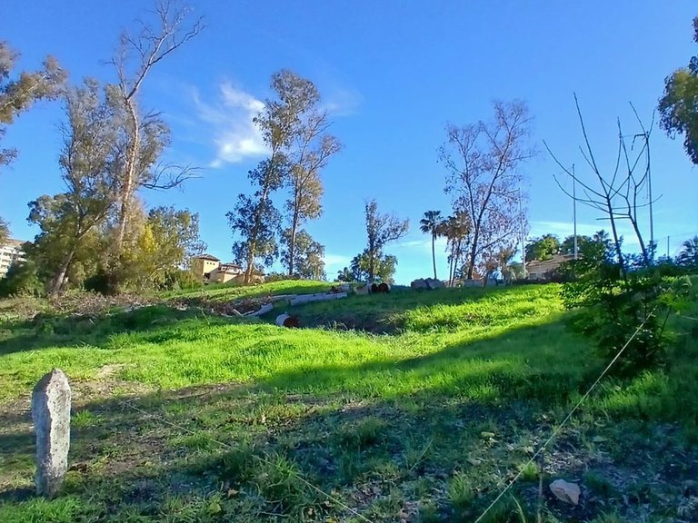 Plot for Sale in Guadalmina Alta, Malaga 10