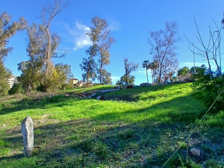 Plot for Sale in Guadalmina Alta, Malaga 11