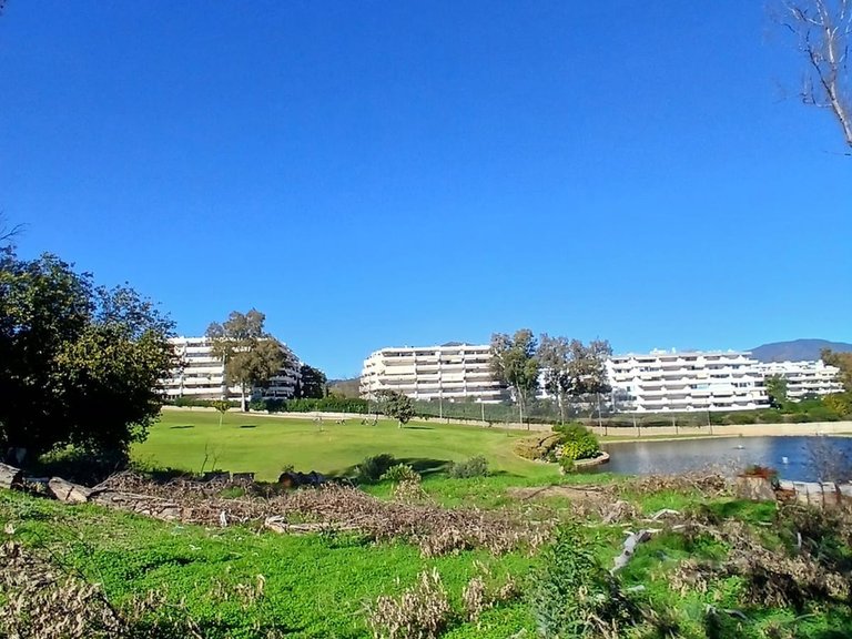 Plot for Sale in Guadalmina Alta, Malaga 13