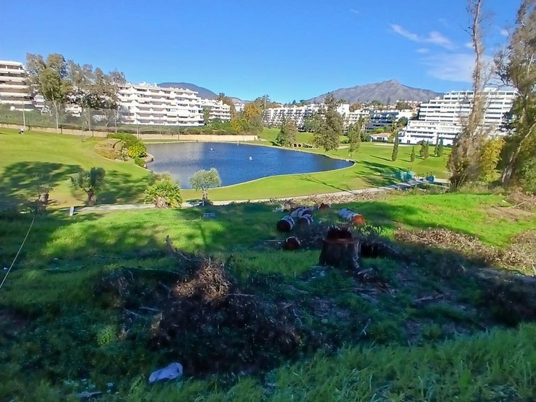 Plot for Sale in Guadalmina Alta, Malaga 3
