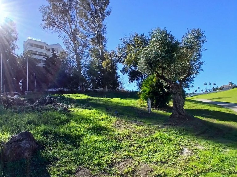 Plot for Sale in Guadalmina Alta, Malaga 4