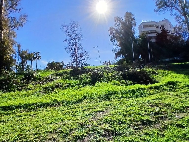 Plot for Sale in Guadalmina Alta, Malaga 5