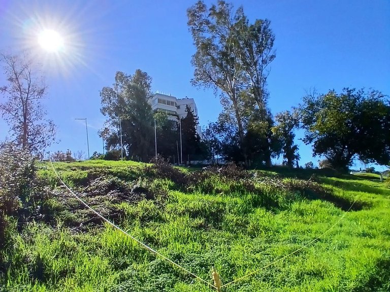 Plot for Sale in Guadalmina Alta, Malaga 6