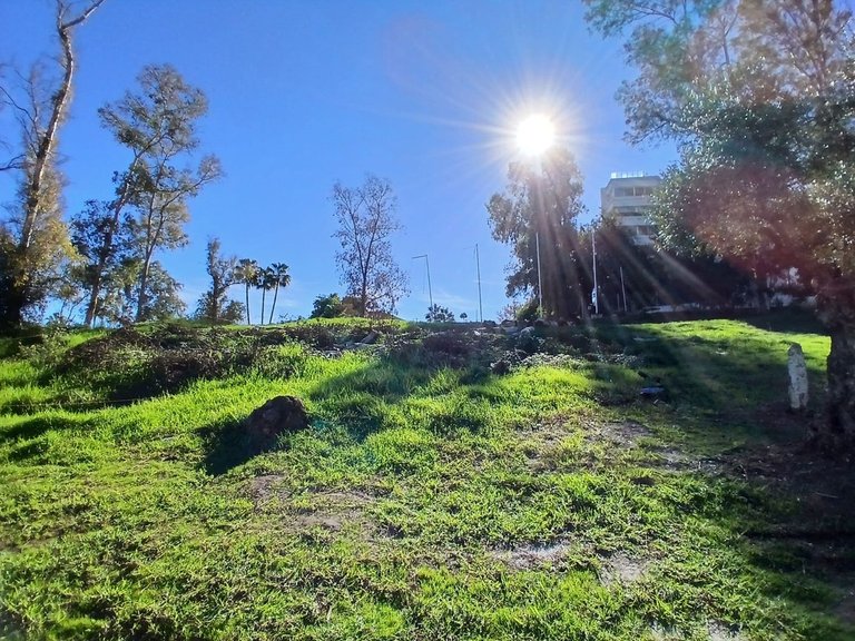 Plot for Sale in Guadalmina Alta, Malaga 7