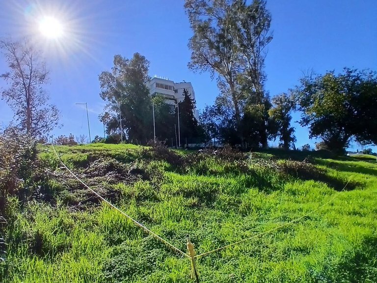 Plot for Sale in Guadalmina Alta, Malaga 8