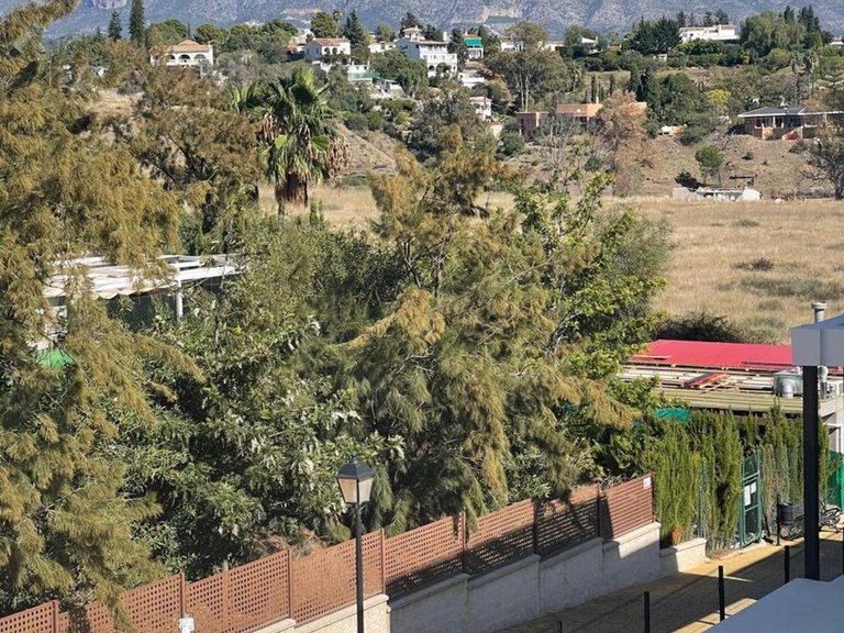 Apartment for Sale in Atalaya, Malaga 12
