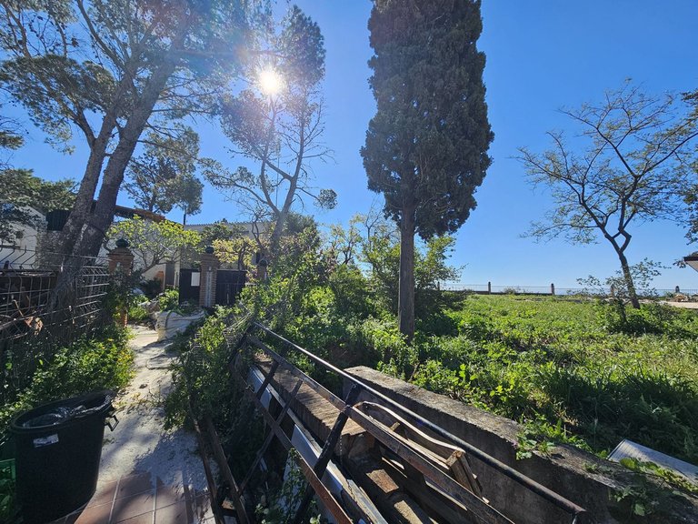 Villa for Sale in Mijas, Malaga 4