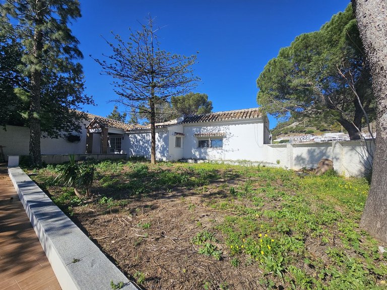 Villa for Sale in Mijas, Malaga 8