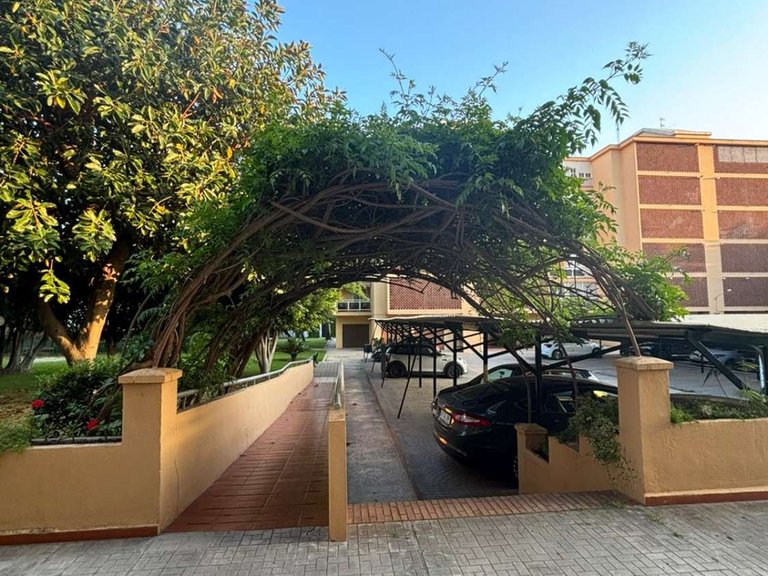 Apartment for Sale in Málaga, Malaga 21
