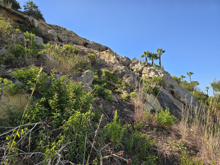 Plot for Sale in Manilva, Malaga 7
