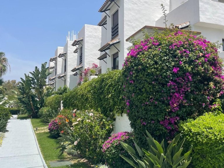 Apartment for Sale in Selwo, Malaga 25