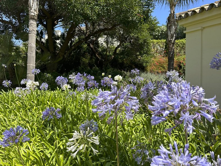 Apartment for Sale in Casares, Malaga 17