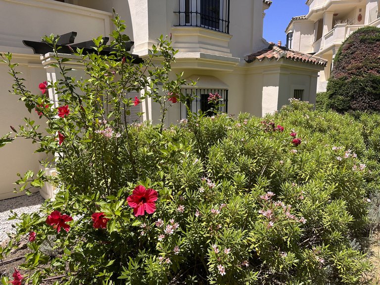 Apartment for Sale in Casares, Malaga 18