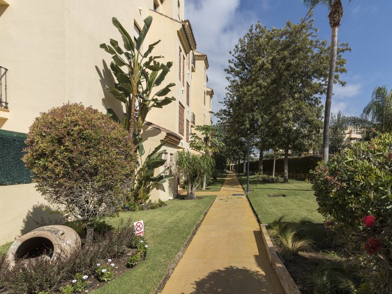 Apartment for Sale in Selwo, Malaga 8