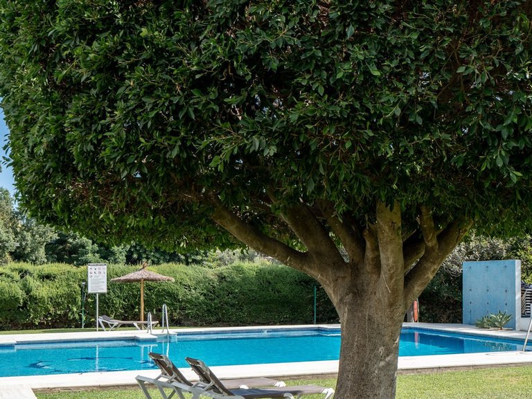 Apartment for Sale in Guadalmina Alta, Malaga 22