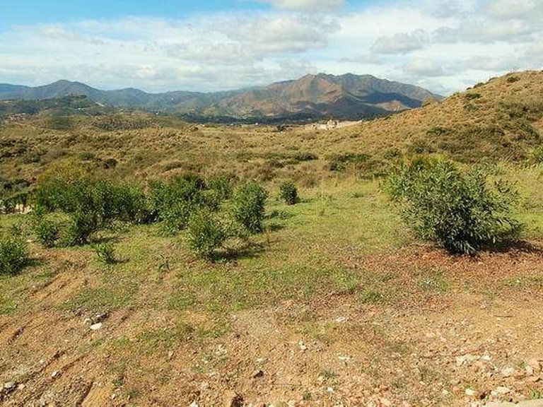Plot for Sale in Mijas, Malaga 6