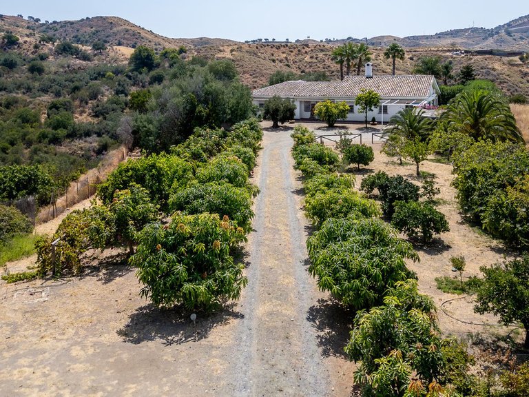 Villa for Sale in Alhaurín El Grande, Malaga 35