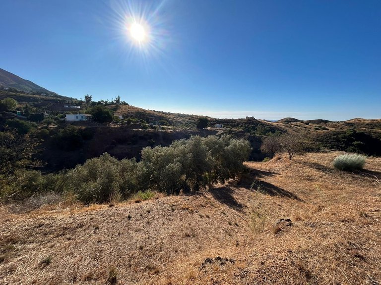 Plot for Sale in Valtocado, Malaga 10