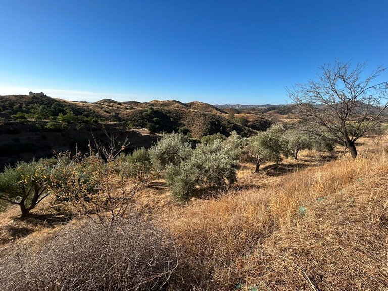 Plot for Sale in Valtocado, Malaga 15