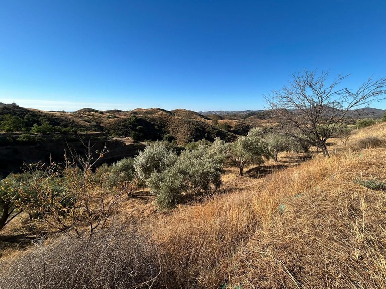 Plot for Sale in Valtocado, Malaga 2