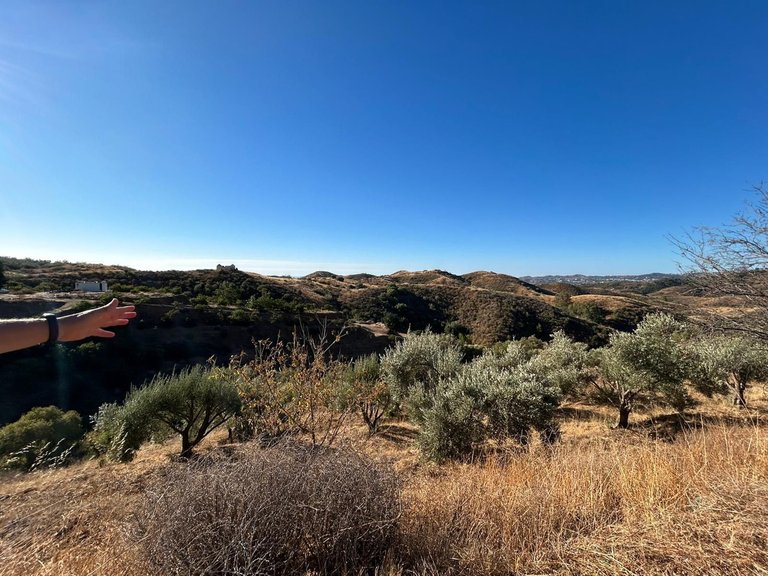 Plot for Sale in Valtocado, Malaga 4