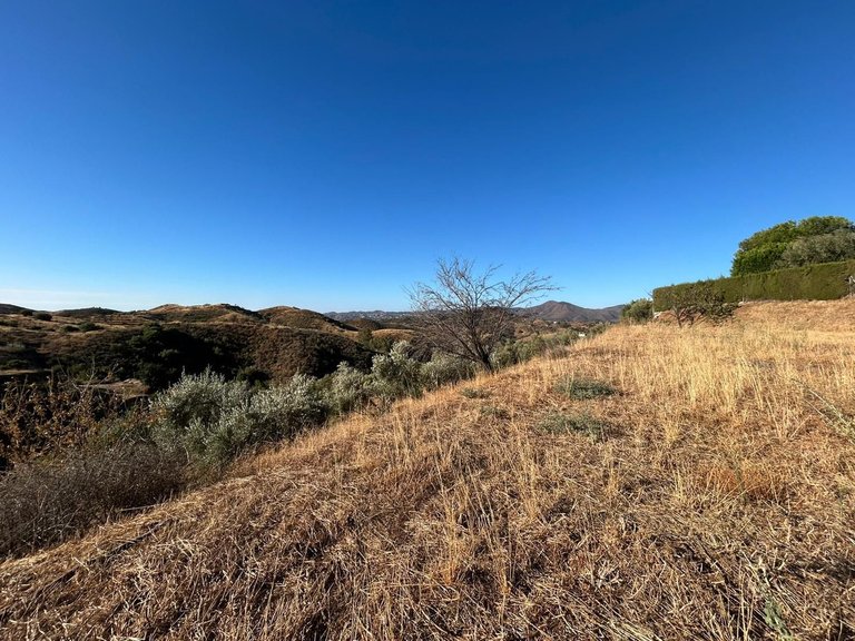 Plot for Sale in Valtocado, Malaga 5