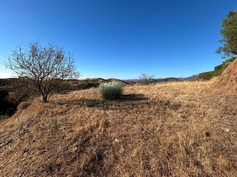 Plot for Sale in Valtocado, Malaga 6