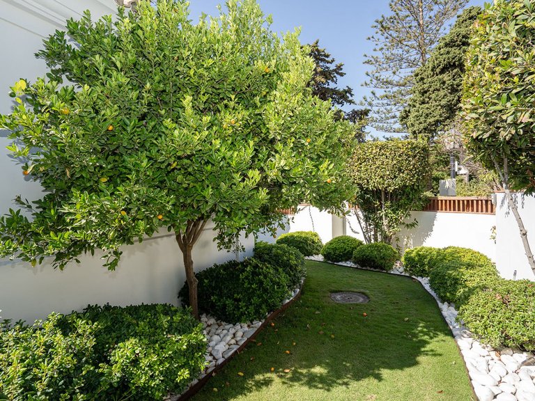 Villa for Sale in Guadalmina Baja, Malaga 5
