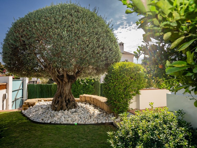 Villa for Sale in Guadalmina Baja, Malaga 7