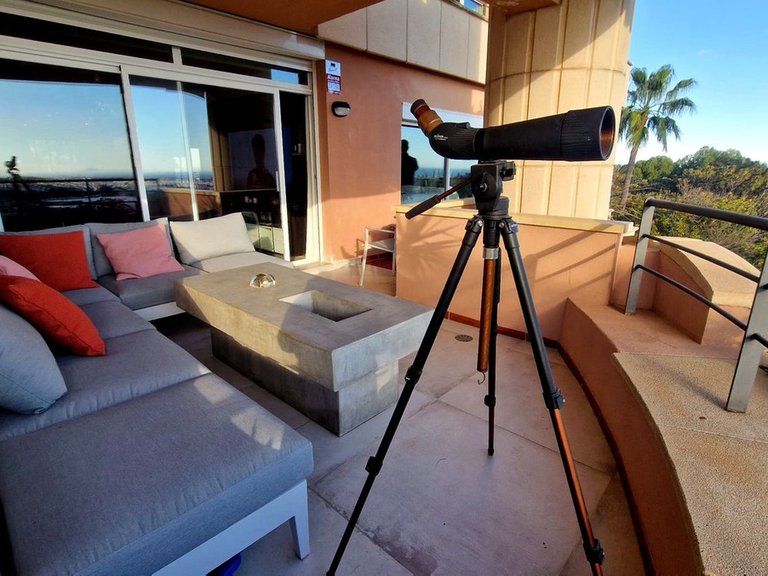 Apartment for Sale in Marbella, Malaga 16