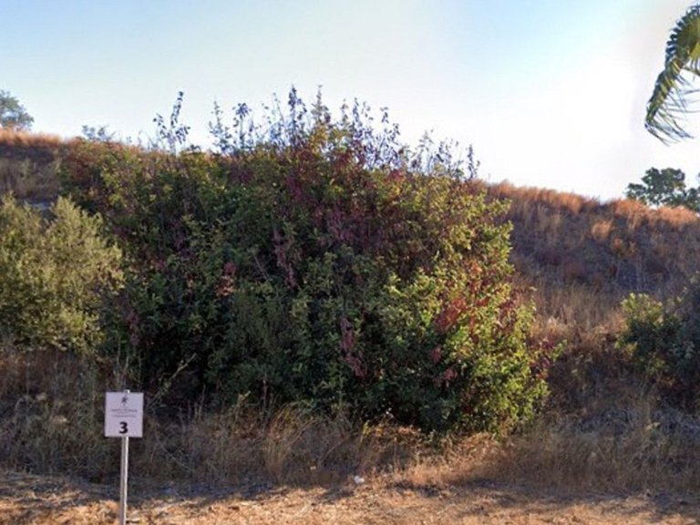 Plot for Sale in Benalmadena, Malaga 17