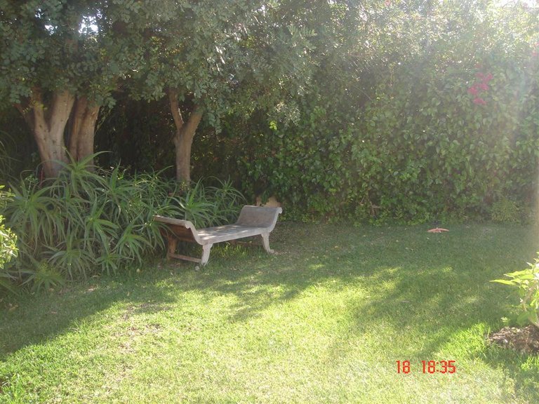 Villa for Sale in Mijas Costa, Malaga 11