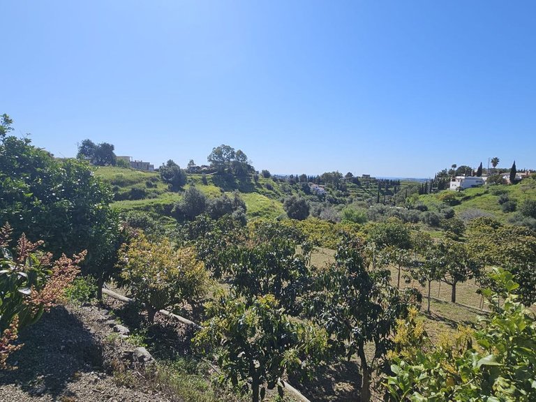 Plot for Sale in Mijas, Malaga 10