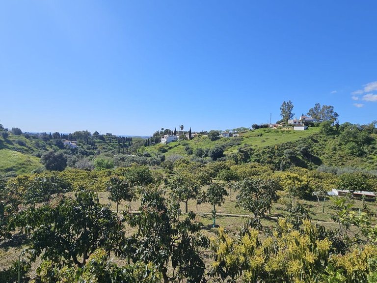 Plot for Sale in Mijas, Malaga 11