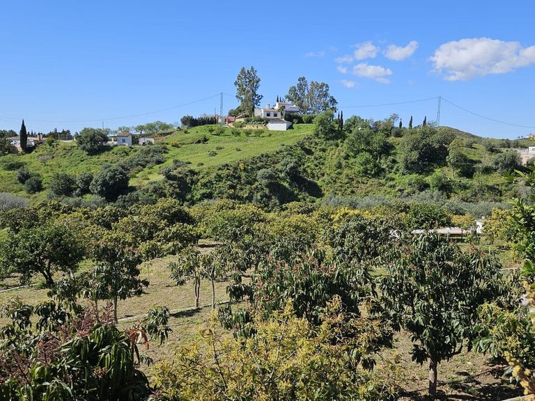 Plot for Sale in Mijas, Malaga 14