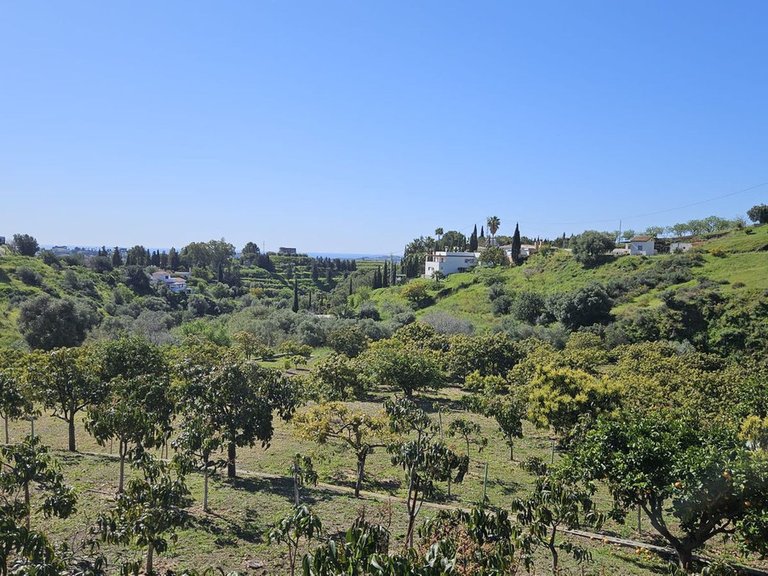 Plot for Sale in Mijas, Malaga 2