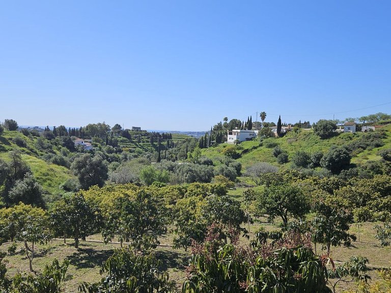 Plot for Sale in Mijas, Malaga 7
