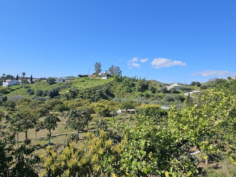Plot for Sale in Mijas, Malaga 8