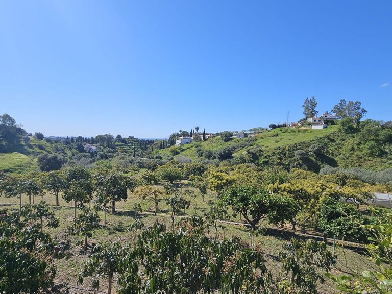 Plot for Sale in Mijas, Malaga 9